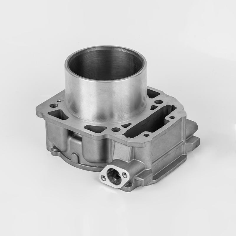 LiAngzi 1000 (φ91) Bombardier 1000 Silinder Engine Series Lama