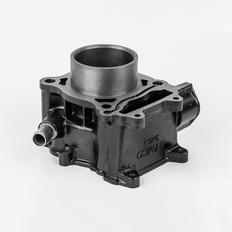 BAC5 (φ66) Siri tahan silinder besi tuang